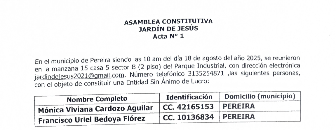 Acta de constitución - Vista previa