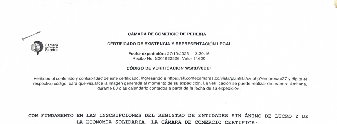 Certificado de existencia - Vista previa