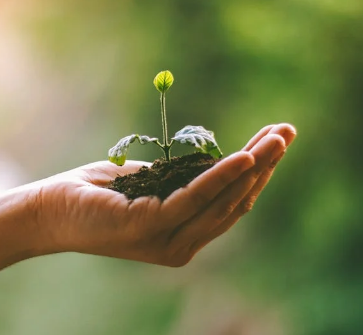 Creciendo en Valores